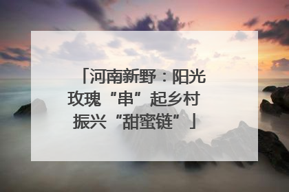河南新野：阳光玫瑰“串”起乡村振兴“甜蜜链”