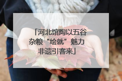 河北馆陶以五谷杂粮“绘就”魅力非遗引客来