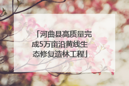 河曲县高质量完成5万亩沿黄线生态修复造林工程