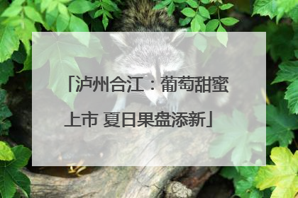 泸州合江：葡萄甜蜜上市 夏日果盘添新