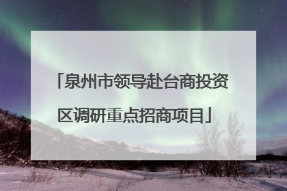 泉州市领导赴台商投资区调研重点招商项目