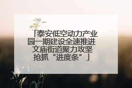 泰安低空动力产业园一期建设全速推进 文庙街道聚力攻坚抢抓“进度条”