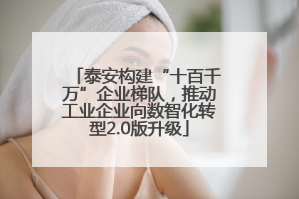 泰安构建“十百千万”企业梯队，推动工业企业向数智化转型2.0版升级