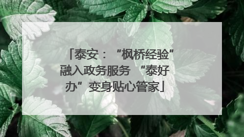 泰安：“枫桥经验”融入政务服务 “泰好办”变身贴心管家