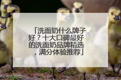 洗面奶什么牌子好？十大口碑最好的洗面奶品牌精选，满分体验推荐