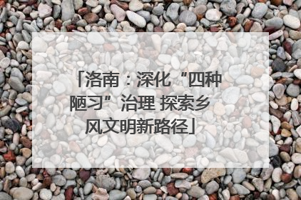 洛南：深化“四种陋习”治理 探索乡风文明新路径