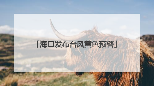海口发布台风黄色预警