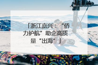 浙江嘉兴：“侨力护航”助企高质量“出海”