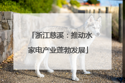 浙江慈溪：推动水家电产业蓬勃发展