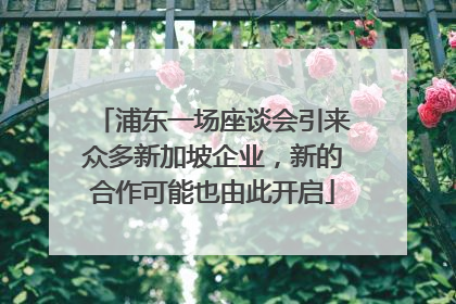 浦东一场座谈会引来众多新加坡企业，新的合作可能也由此开启