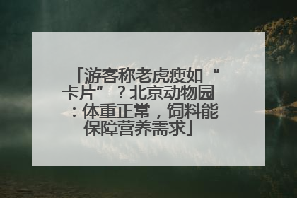 游客称老虎瘦如“卡片”？北京动物园：体重正常，饲料能保障营养需求