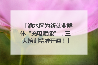 渝水区为新就业群体“充电赋能”，三大培训精准开课！