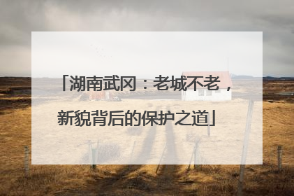 湖南武冈：老城不老，新貌背后的保护之道