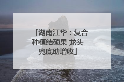 湖南江华：复合种植结硕果 龙头兜底助增收