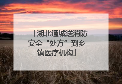 湖北通城送消防安全“处方”到乡镇医疗机构