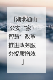 湖北通山公安“家+智慧”改革推进政务服务提质增效