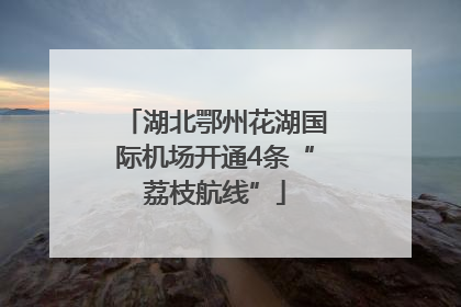 湖北鄂州花湖国际机场开通4条“荔枝航线”