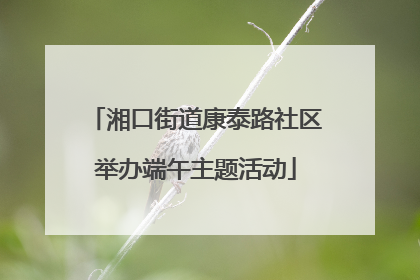湘口街道康泰路社区举办端午主题活动