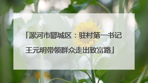 漯河市郾城区：驻村第一书记王元明带领群众走出致富路