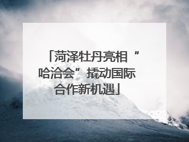 菏泽牡丹亮相“哈洽会”撬动国际合作新机遇