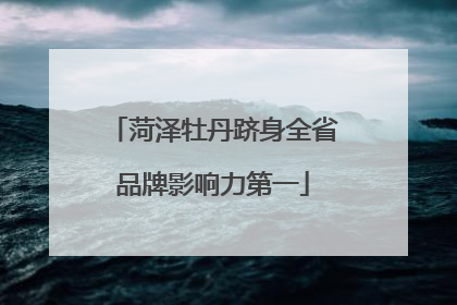 菏泽牡丹跻身全省品牌影响力第一