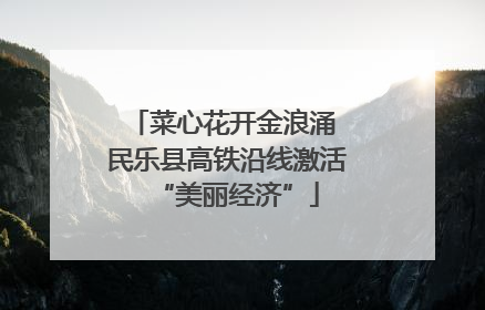 菜心花开金浪涌 民乐县高铁沿线激活“美丽经济”
