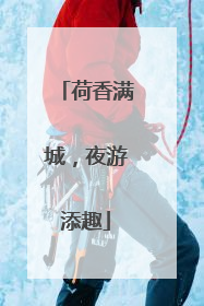 荷香满城，夜游添趣