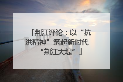 荆江评论：以“抗洪精神”筑起新时代“荆江大堤”