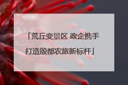 荒丘变景区 政企携手打造殷都农旅新标杆