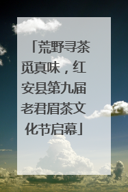 荒野寻茶觅真味，红安县第九届老君眉茶文化节启幕