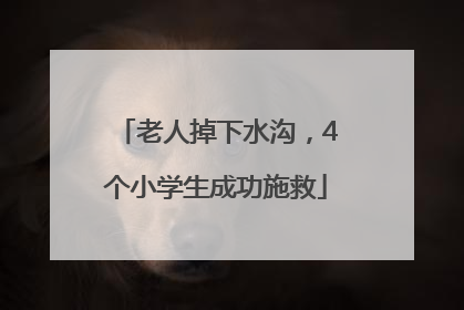 老人掉下水沟，4个小学生成功施救