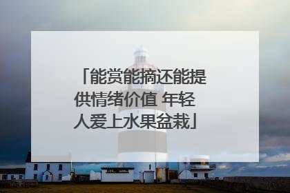 能赏能摘还能提供情绪价值 年轻人爱上水果盆栽