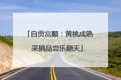 自贡富顺：黄桃成熟 采摘品尝乐翻天