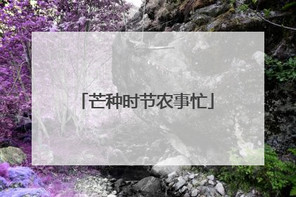 芒种时节农事忙