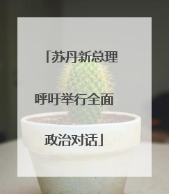 苏丹新总理呼吁举行全面政治对话