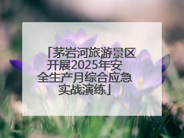 茅岩河旅游景区开展2025年安全生产月综合应急实战演练
