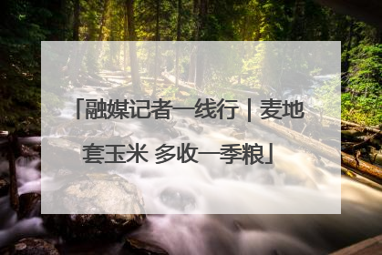 融媒记者一线行｜麦地套玉米 多收一季粮