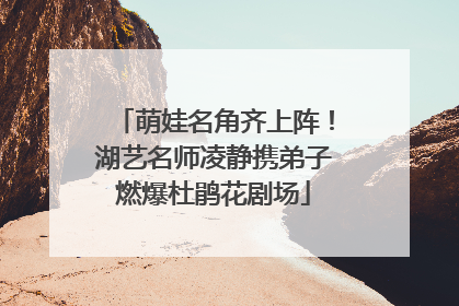 萌娃名角齐上阵！湖艺名师凌静携弟子燃爆杜鹃花剧场