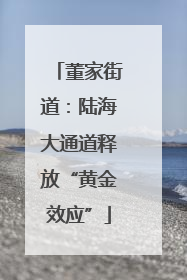 董家街道：陆海大通道释放“黄金效应”