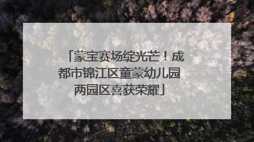 蒙宝赛场绽光芒！成都市锦江区童蒙幼儿园两园区喜获荣耀