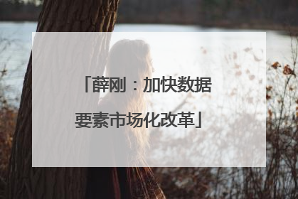 薛刚：加快数据要素市场化改革