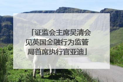 证监会主席吴清会见英国金融行为监管局首席执行官亚迪