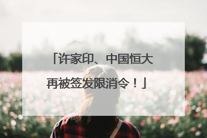 许家印、中国恒大再被签发限消令！