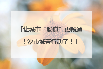 让城市“肠道”更畅通！沙市城管行动了！