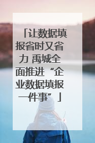 让数据填报省时又省力 禹城全面推进“企业数据填报一件事”