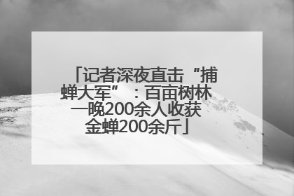 记者深夜直击“捕蝉大军”：百亩树林一晚200余人收获金蝉200余斤