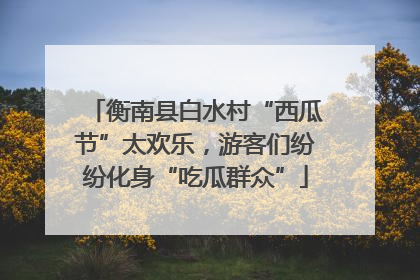衡南县白水村“西瓜节”太欢乐，游客们纷纷化身“吃瓜群众”