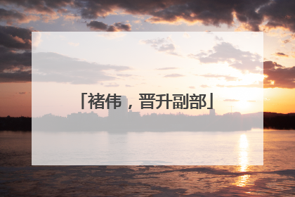 褚伟，晋升副部