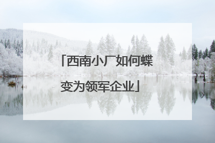 西南小厂如何蝶变为领军企业