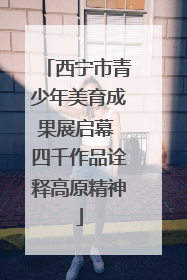 西宁市青少年美育成果展启幕 四千作品诠释高原精神